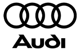 customer-logo-audi